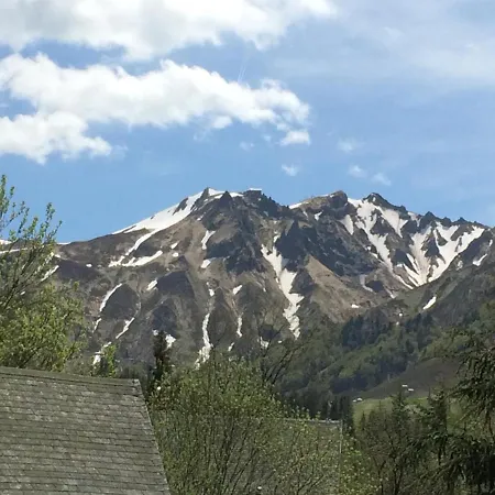 Le Balcon Du Sancy - Location Du Samedi Au Samedi - Linge De Lits Fournis - Option Menage Fin De Sejour Non Proposee Шале Ле-Мон-Дор