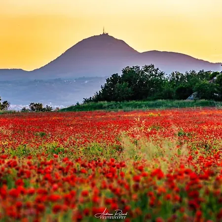 シャレー Le Balcon Du Sancy - Location Du Samedi Au Samedi - Linge De Lits Fournis - Option Menage Fin De Sejour Non Proposee
